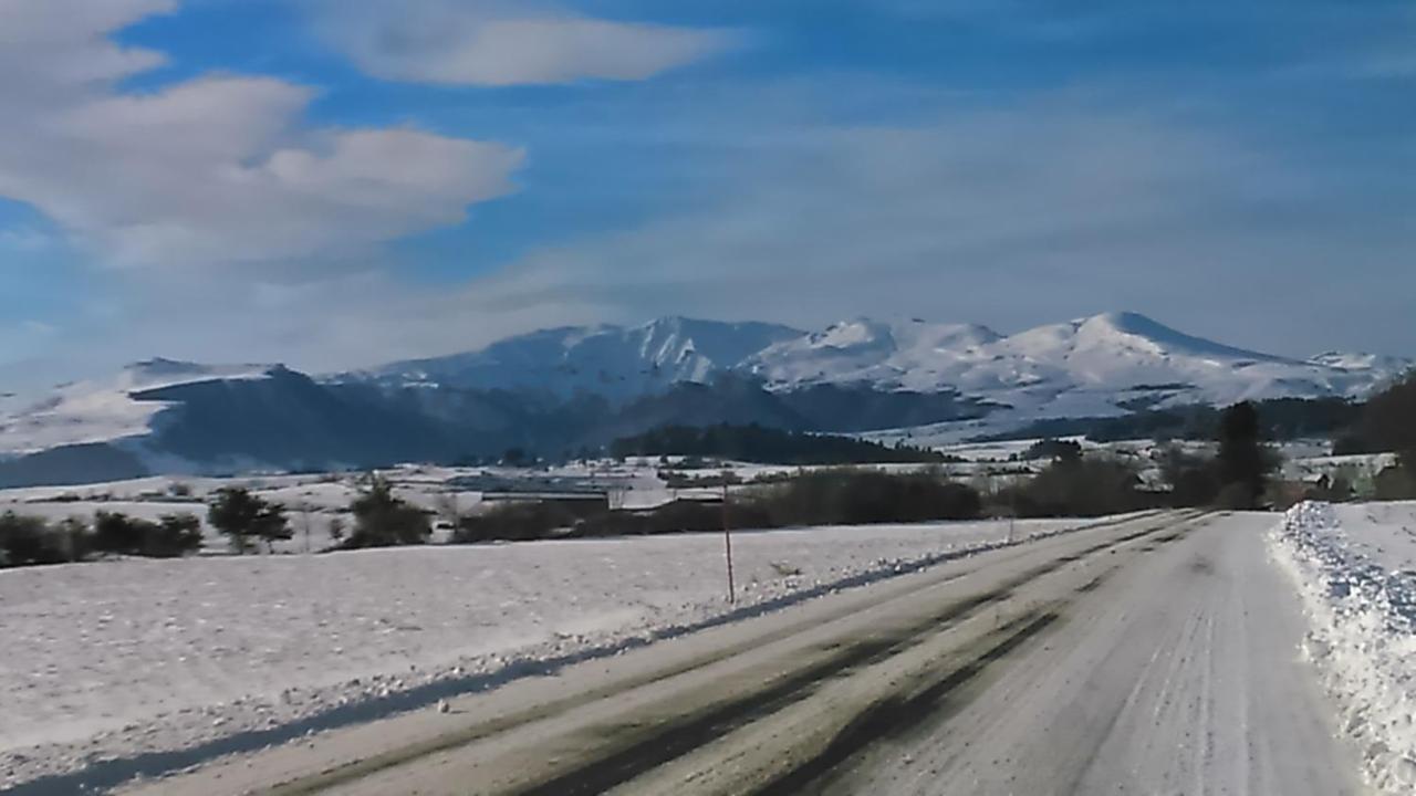 Tulipe, Appartement 5 Personnes, Entre Sancy Et Volcans D'Auvergne Orcival Kültér fotó
