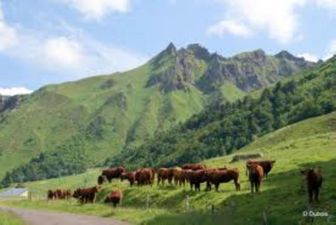 Tulipe, Appartement 5 Personnes, Entre Sancy Et Volcans D'Auvergne Orcival Kültér fotó