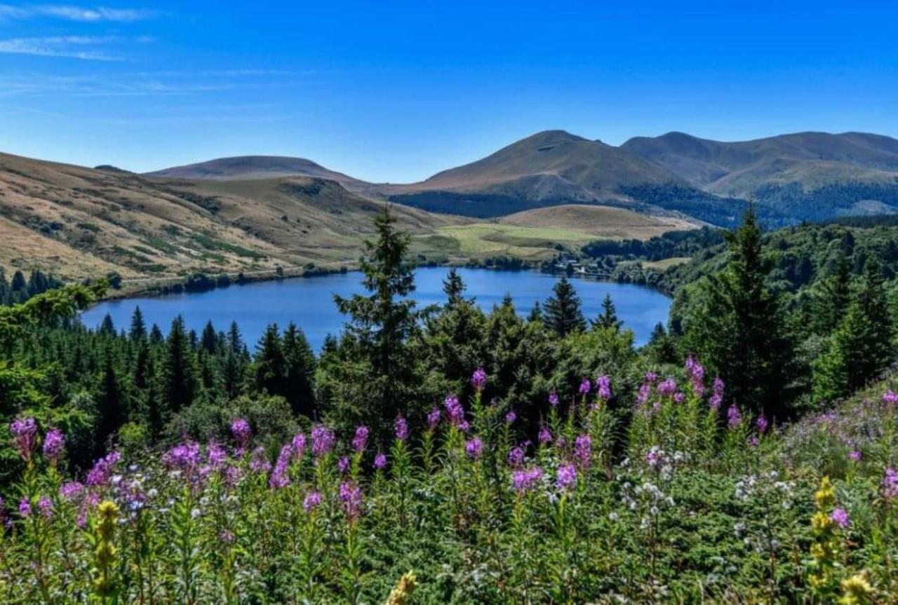Tulipe, Appartement 5 Personnes, Entre Sancy Et Volcans D'Auvergne Orcival Kültér fotó